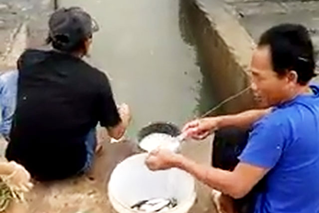 Clip: Dùng bột mì và chai nước, vẫn giật cá mỏi tay ở Phan Thiết