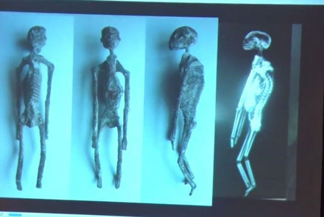 Tìm thấy 5 xác ướp người ngoài hành tinh ở Peru?