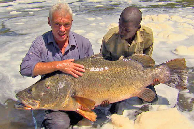 Clip: Câu được cá rô sông Nile nặng hơn 45kg