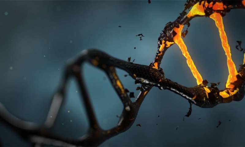 Tái tạo thành công gene của người đã chết 200 năm