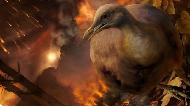 Tổ tiên của loài chim sống sót qua thiên thạch rơi như nào?