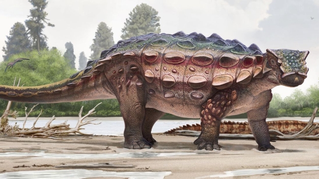 Phát hiện loài khủng long bọc giáp mới ở Mỹ
