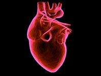 Mỹ bào chế được thuốc cứu mô tim bị đói oxy