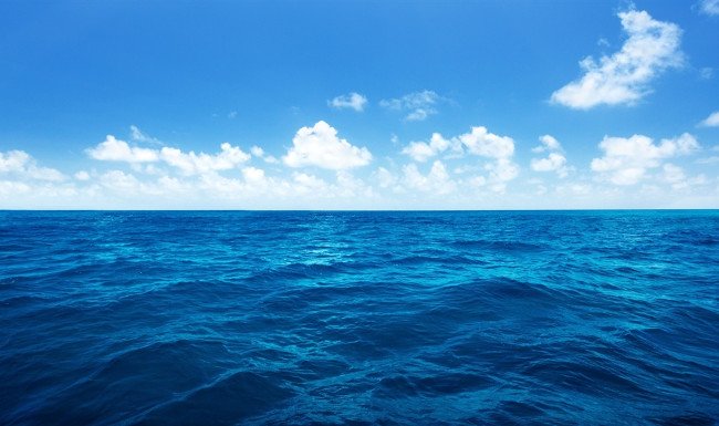 Chữa lành đại dương để chống biến đổi khí hậu