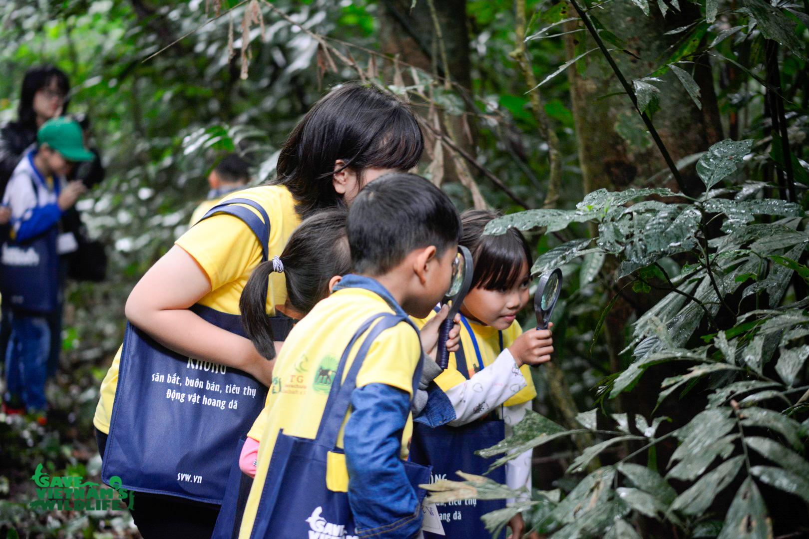 Giáo dục môi trường ở Việt Nam: Những cánh rừng đã mở